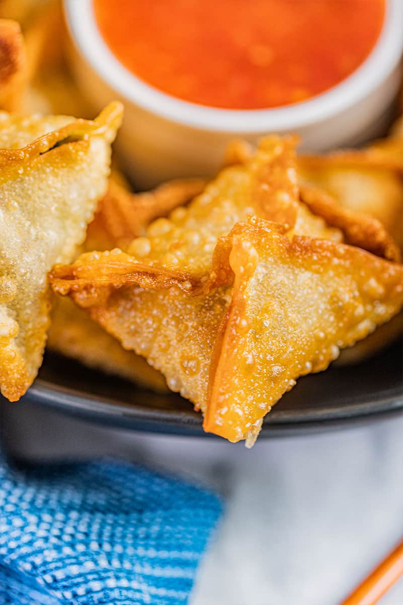 Sausage Wontons com - 93