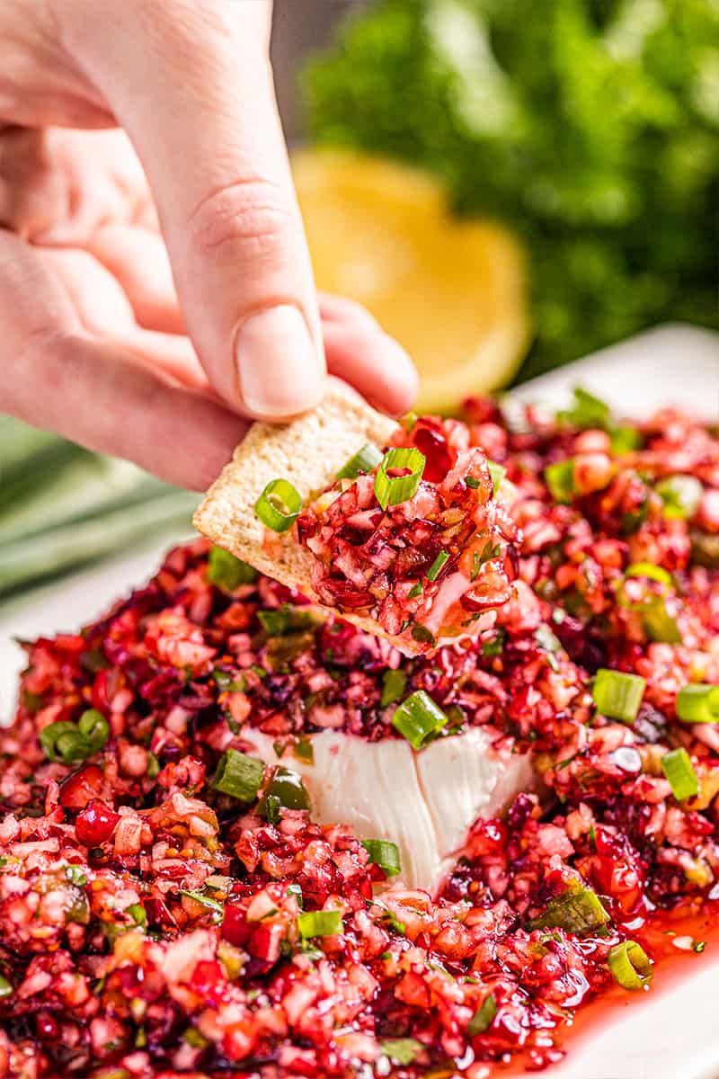 A hand holding a cracker dipped in cranberry salsa.