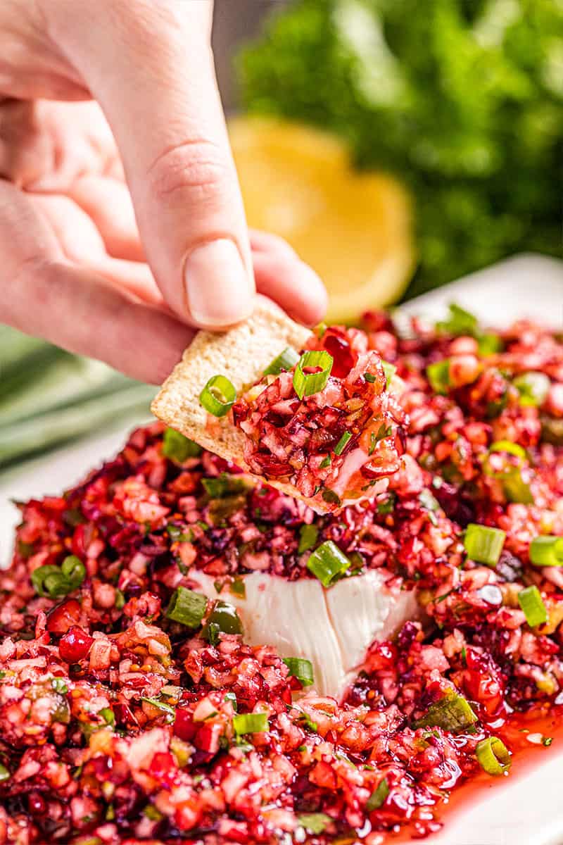 Cranberry Salsa over Cream Cheese - 24