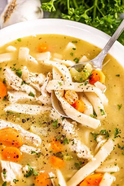 Homemade Chicken Noodle Soup Recipe