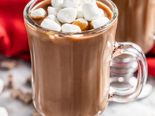 https://thestayathomechef.com/wp-content/uploads/2021/11/Decadently-Thick-Italian-Hot-Chocolate-4-500x375.jpg