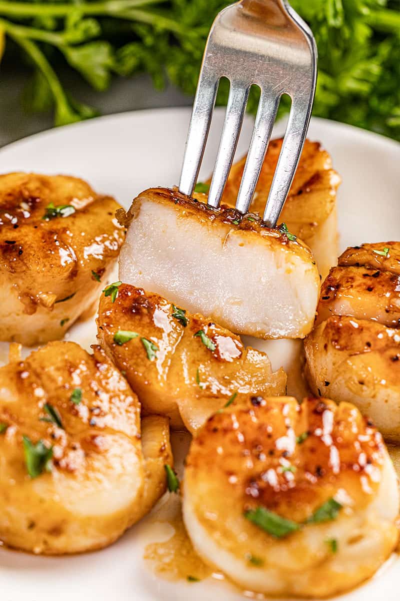 A fork inserted into a cooked scallop.