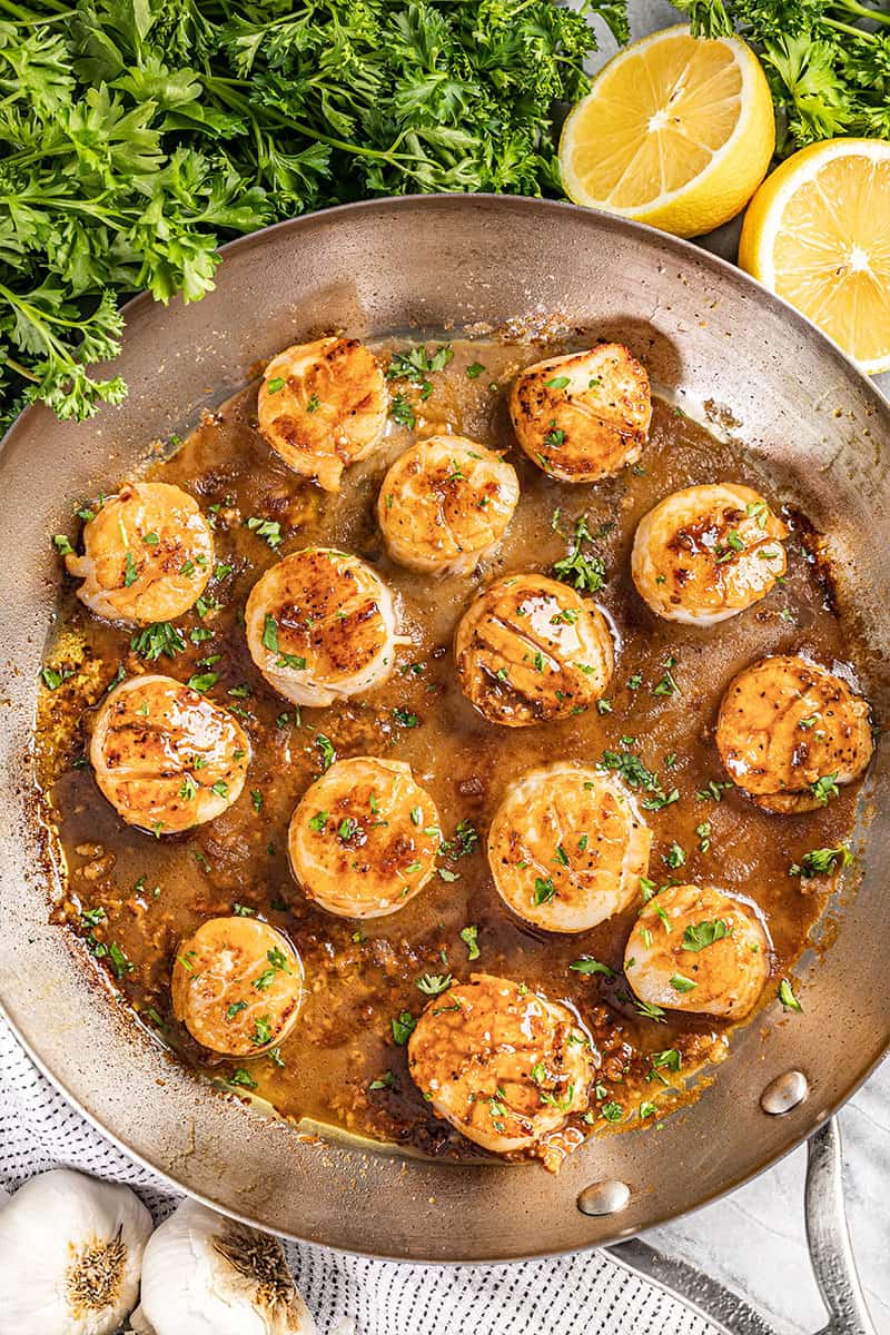 Overhead view of scallops.