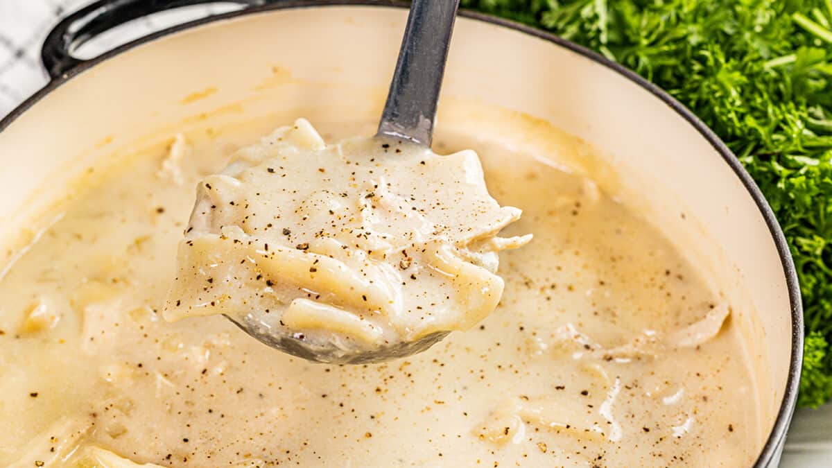 A ladle filled with chicken and dumplings.