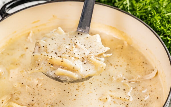 A ladle filled with chicken and dumplings.