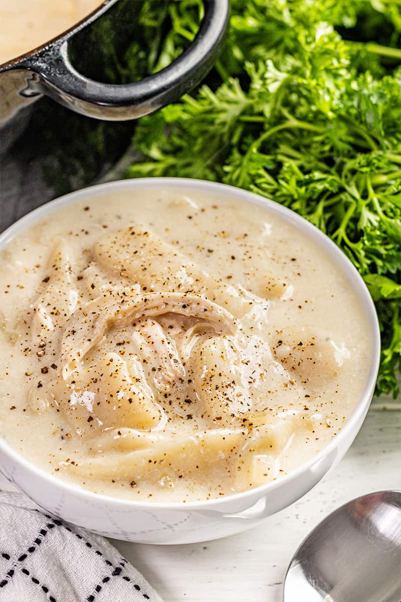 A bowl of chicken and dumplings.