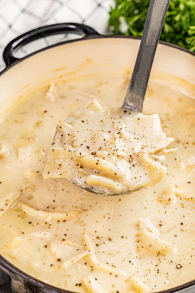 creamy chicken dumpling soup