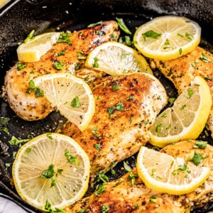 Chicken Recipes