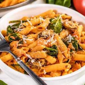 White dinner bowl filled with penne rosa.