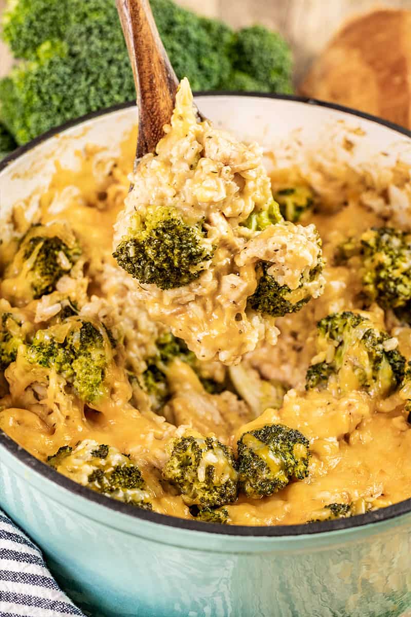 Creamy chicken broccoli casserole in a large pot.