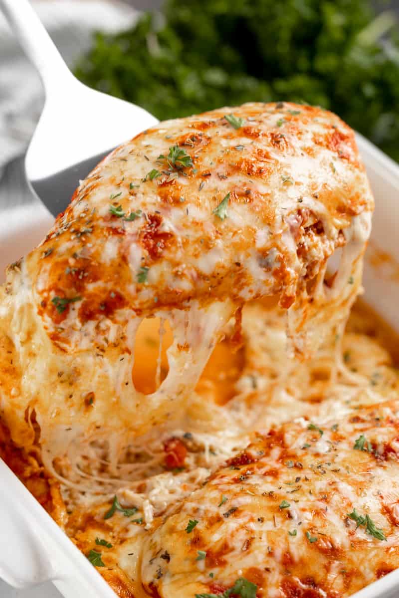 A spatula holding up a piece of lasagna stuffed chicken.