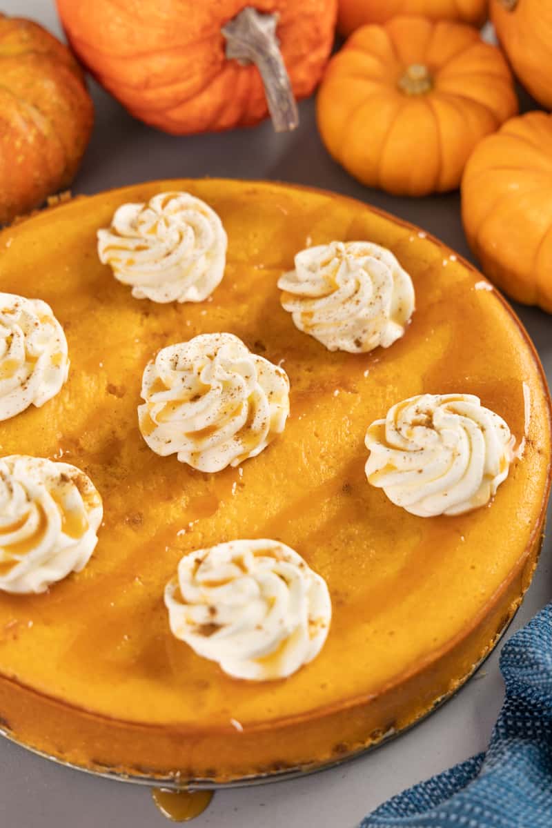 A whole pumpkin cheesecake with whipped cream on top.