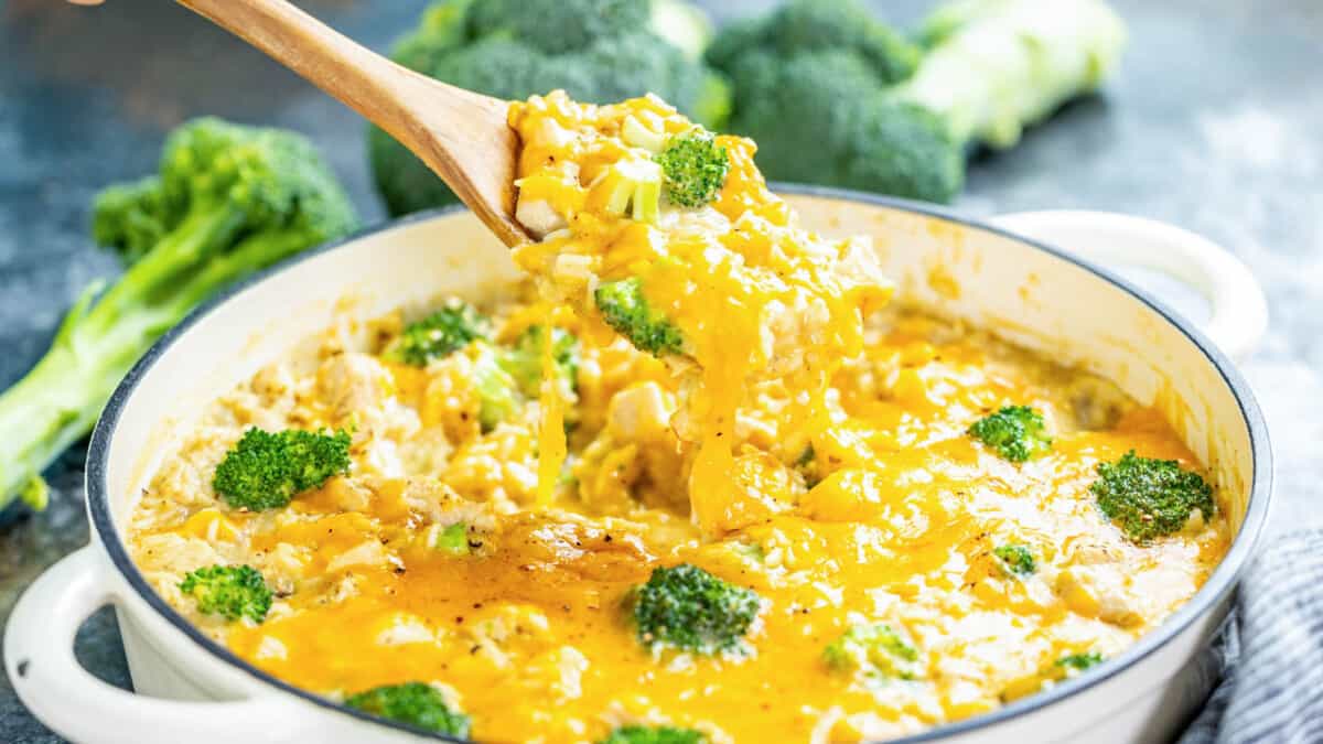 A wooden spoon filled with creamy chicken broccoli casserole being held over the baking dish.