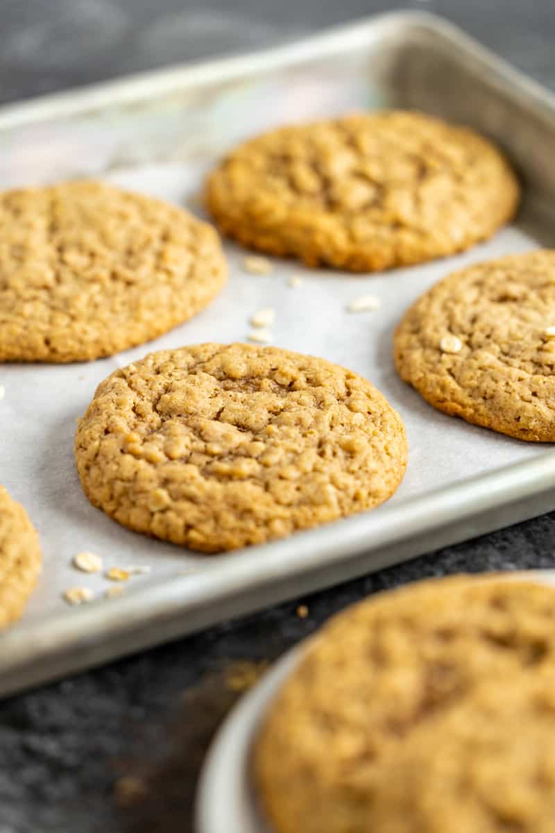 Oatmeal Cookie 3