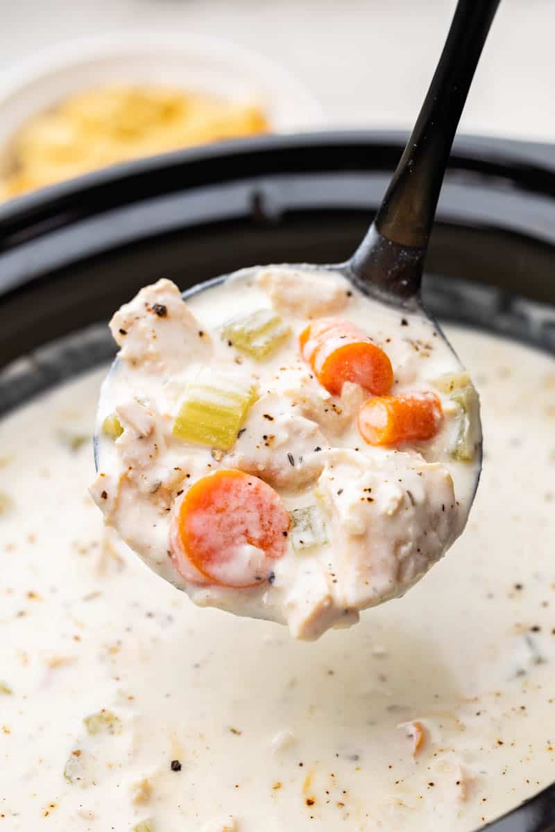 A ladle filled with creamy chicken soup.