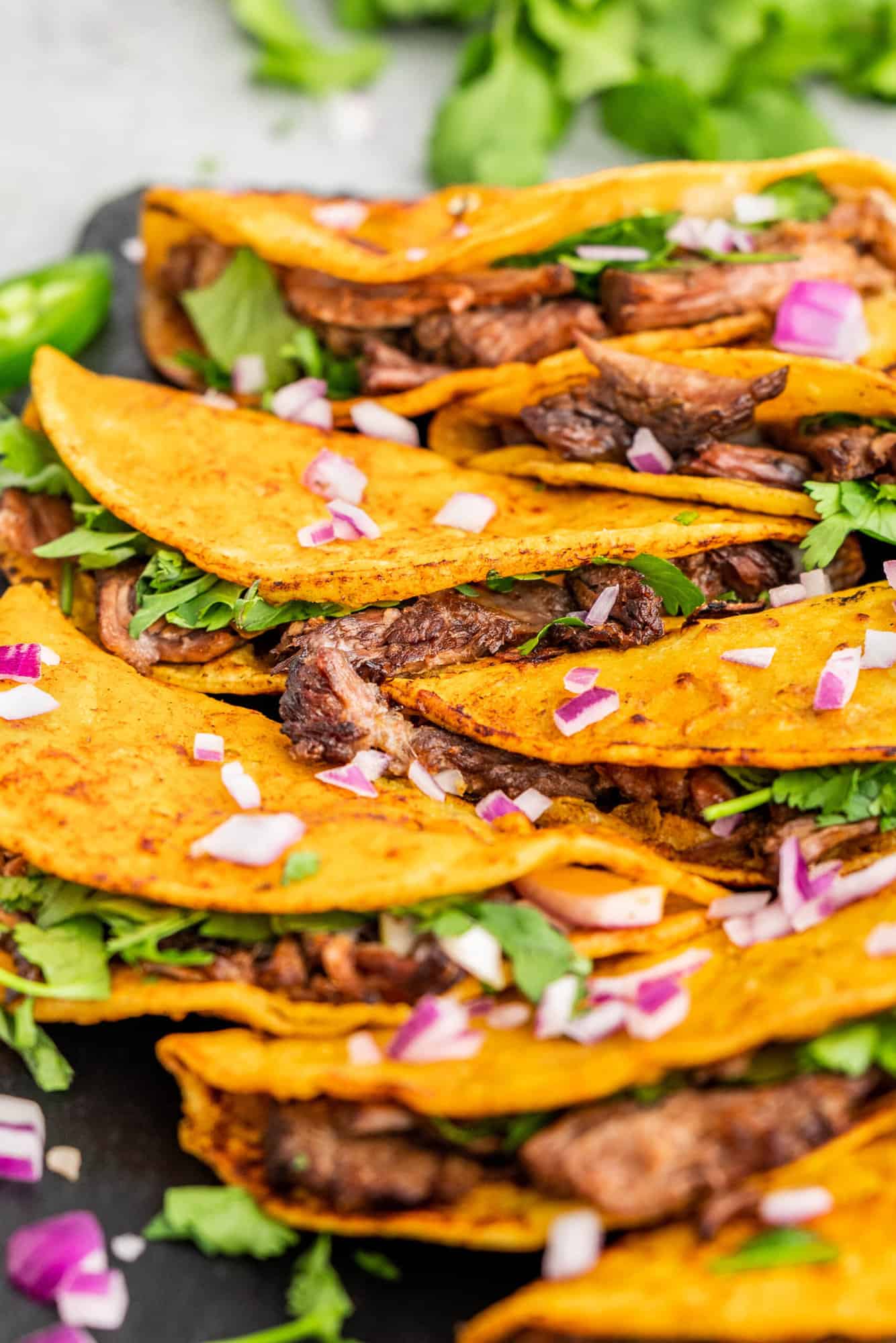 Close up view of birria tacos.