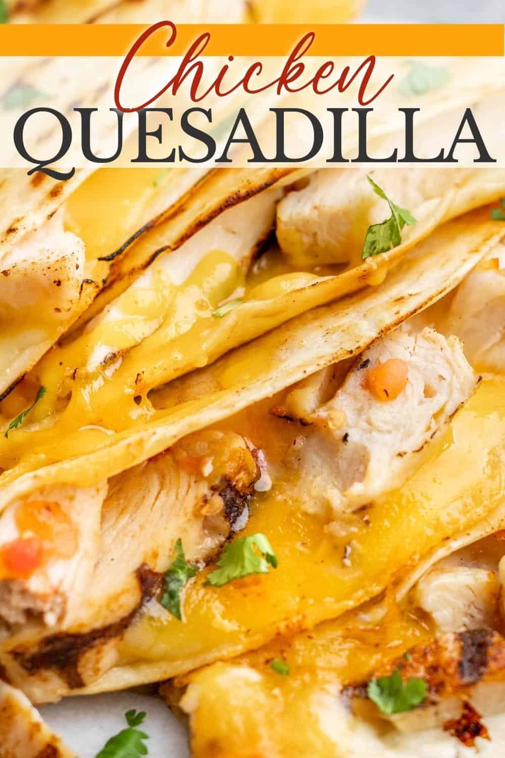 Cheesy Chicken Quesadilla