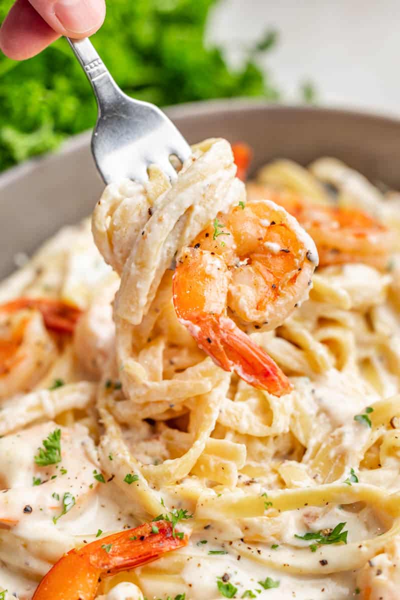 A forkful of shrimp alfredo.