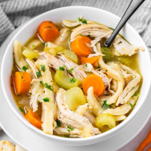 Homemade Chicken Noodle Soup Recipe