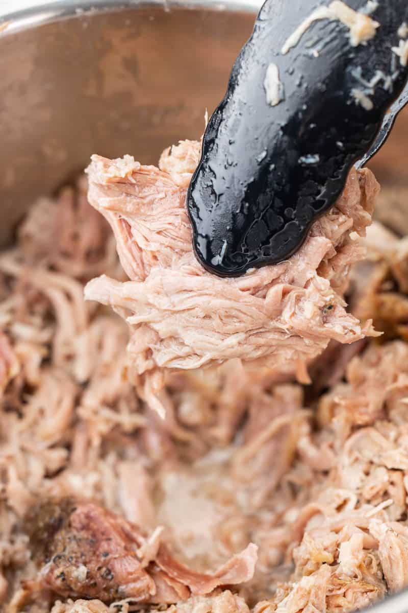 Close-up of barbecue pulled pork being held by tongs.