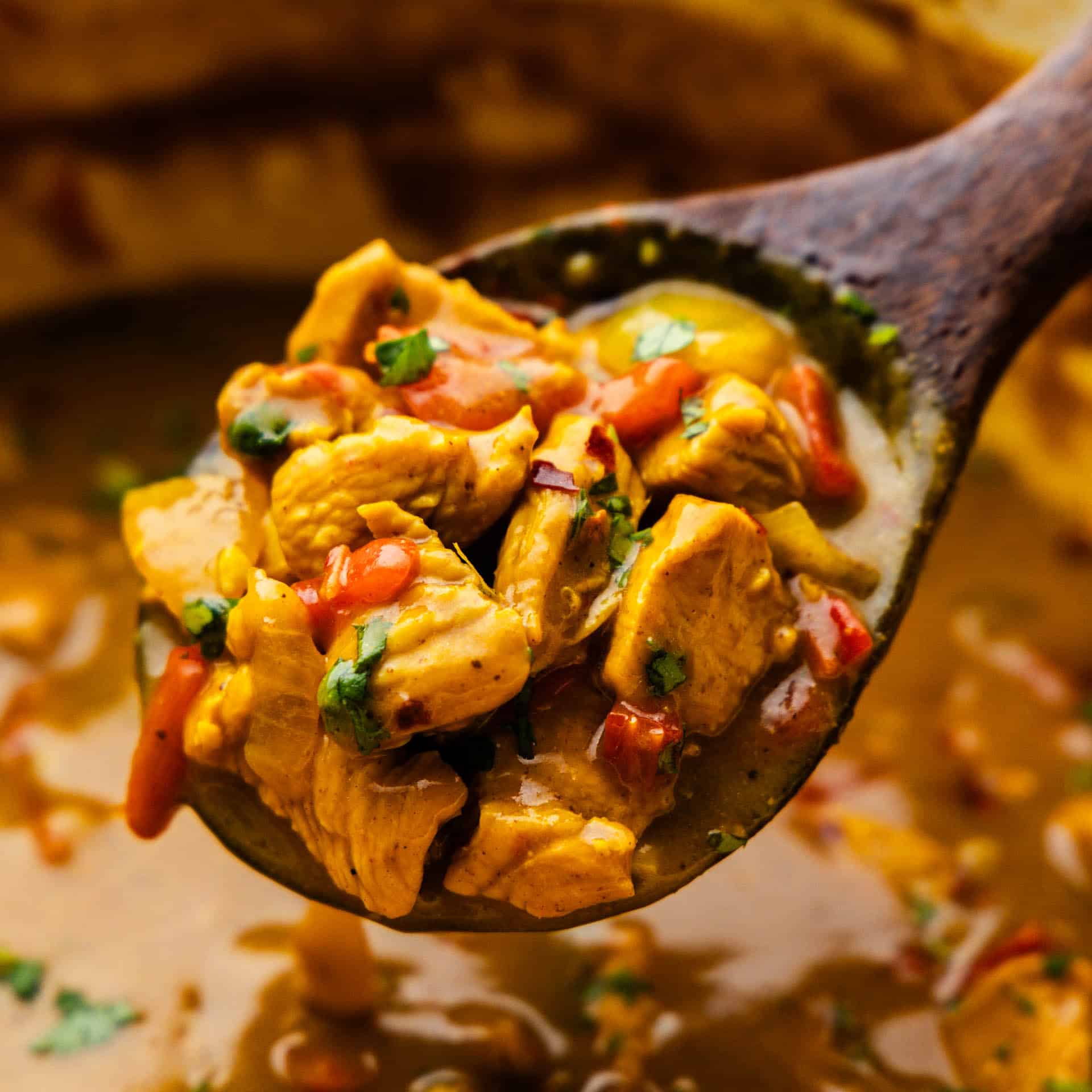 A close up view of a spoon of coconut curry chicken being scooped out of the pot.