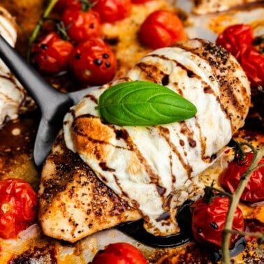 A spatula lifting up a serving of chicken caprese straight from the sheet pan it was baked on underneath.