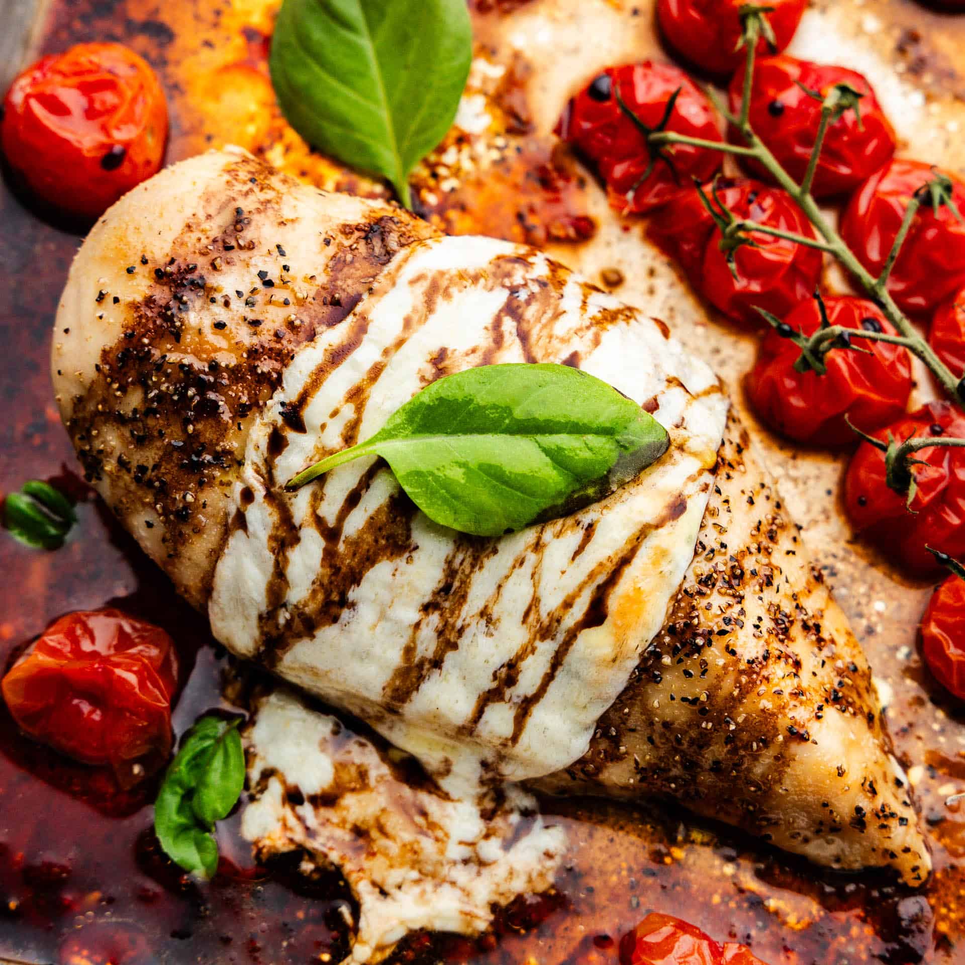 A close up view of a caprese chicken breast surrounded by roasted tomatoes.