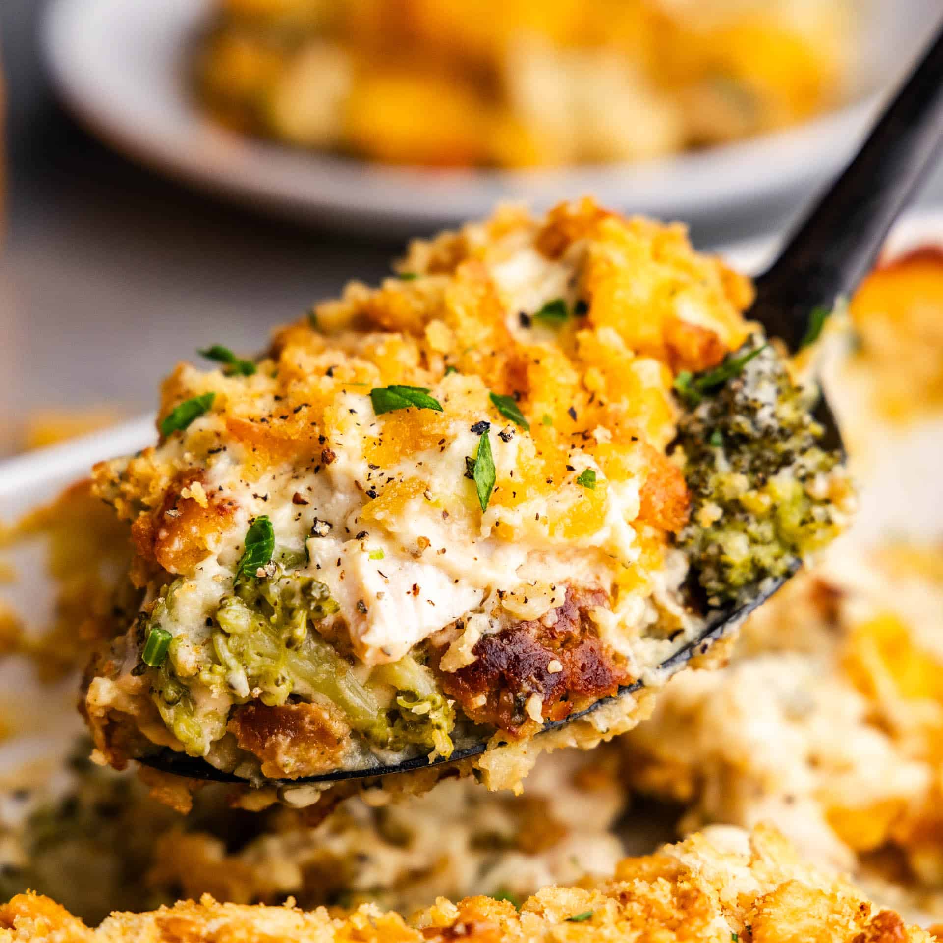 A spoonful of chicken divan being scooped from the casserole dish.