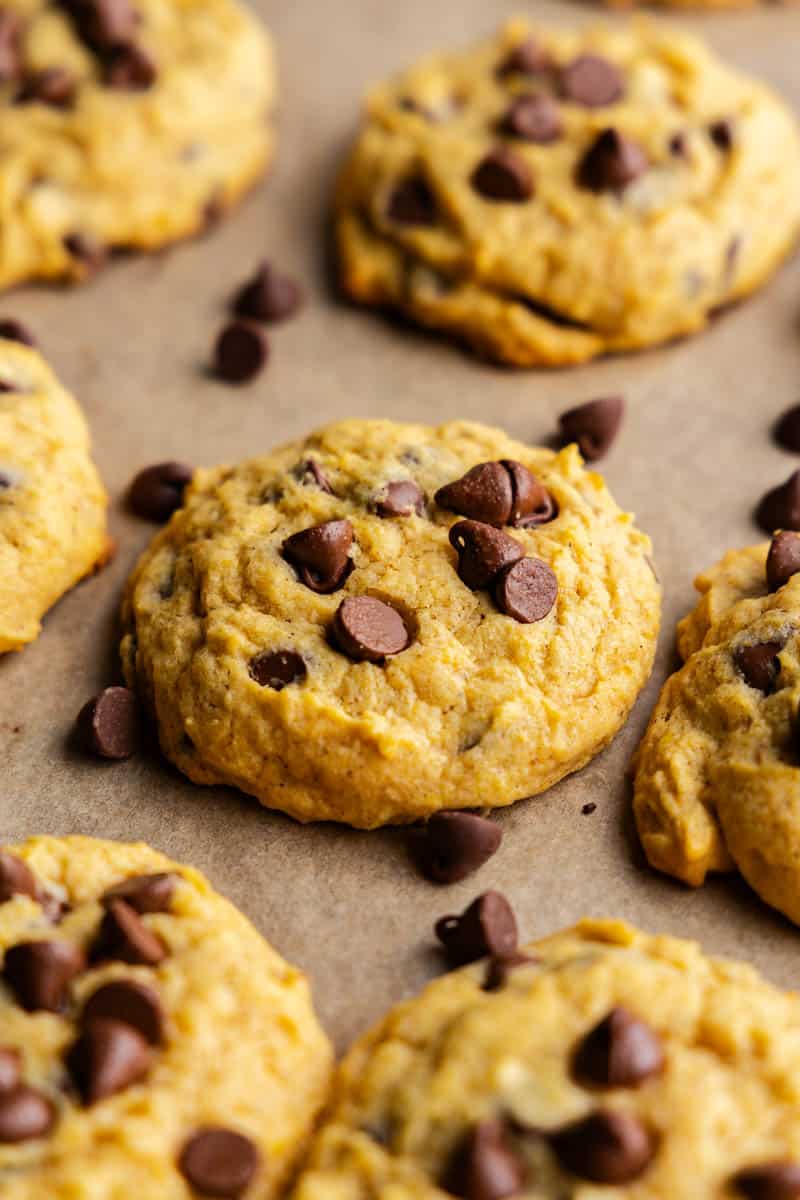 A close up of a pumpkin chocolate chip cookie on a baking sheet surrounded by other cookies.