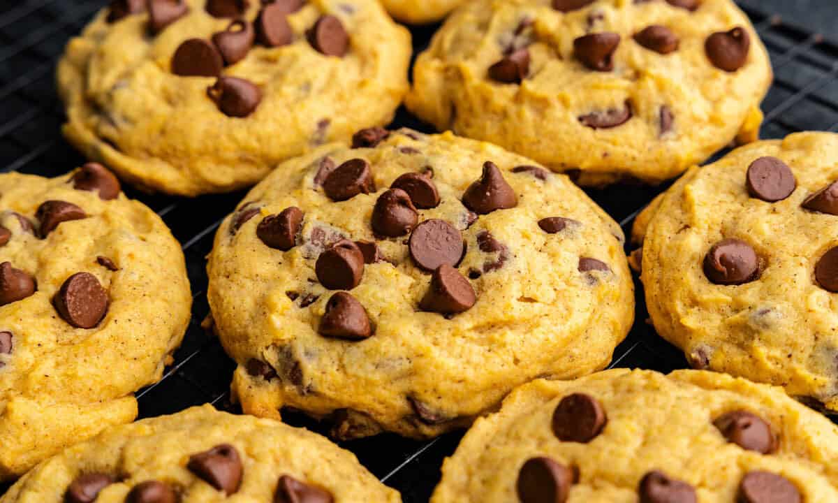 A close up of a grouping of pumpkin chocolate chip cookies.