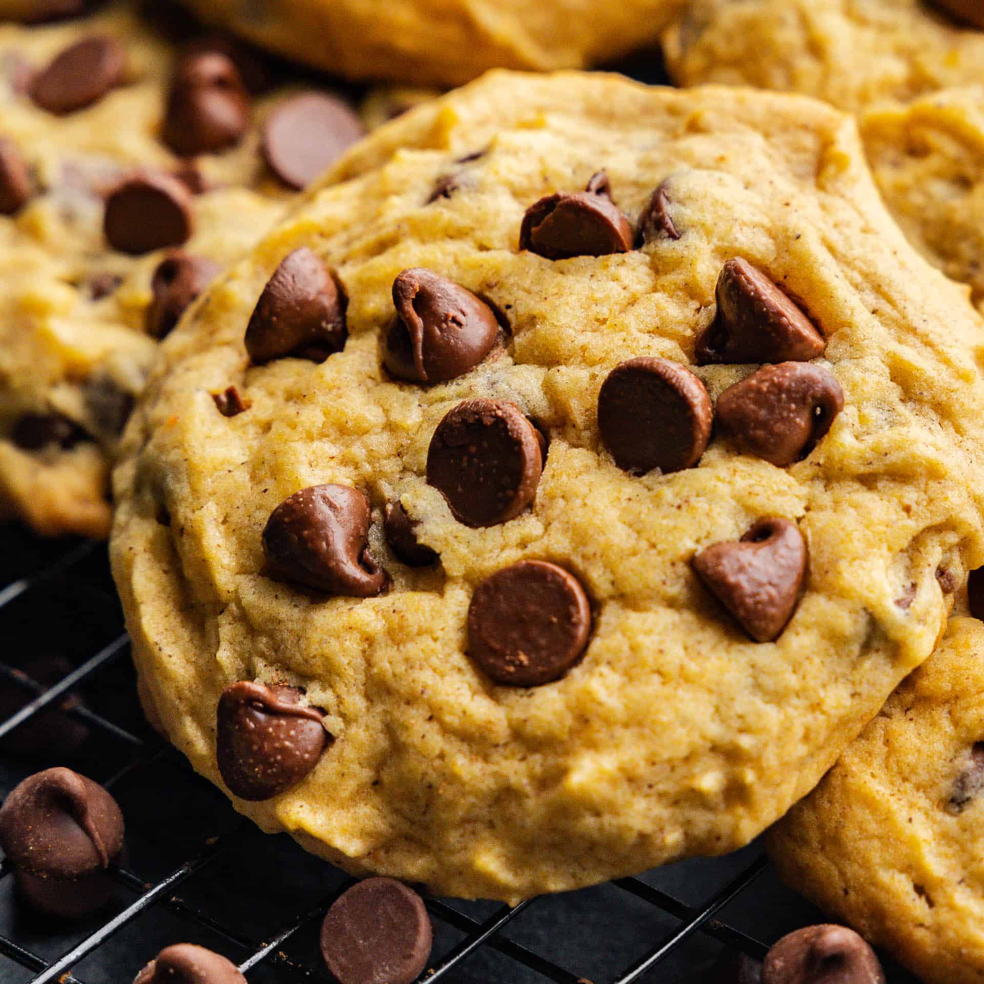 A close up of the top of a pumpkin chocolate chip cookie set against other cookies on a cooling rack.