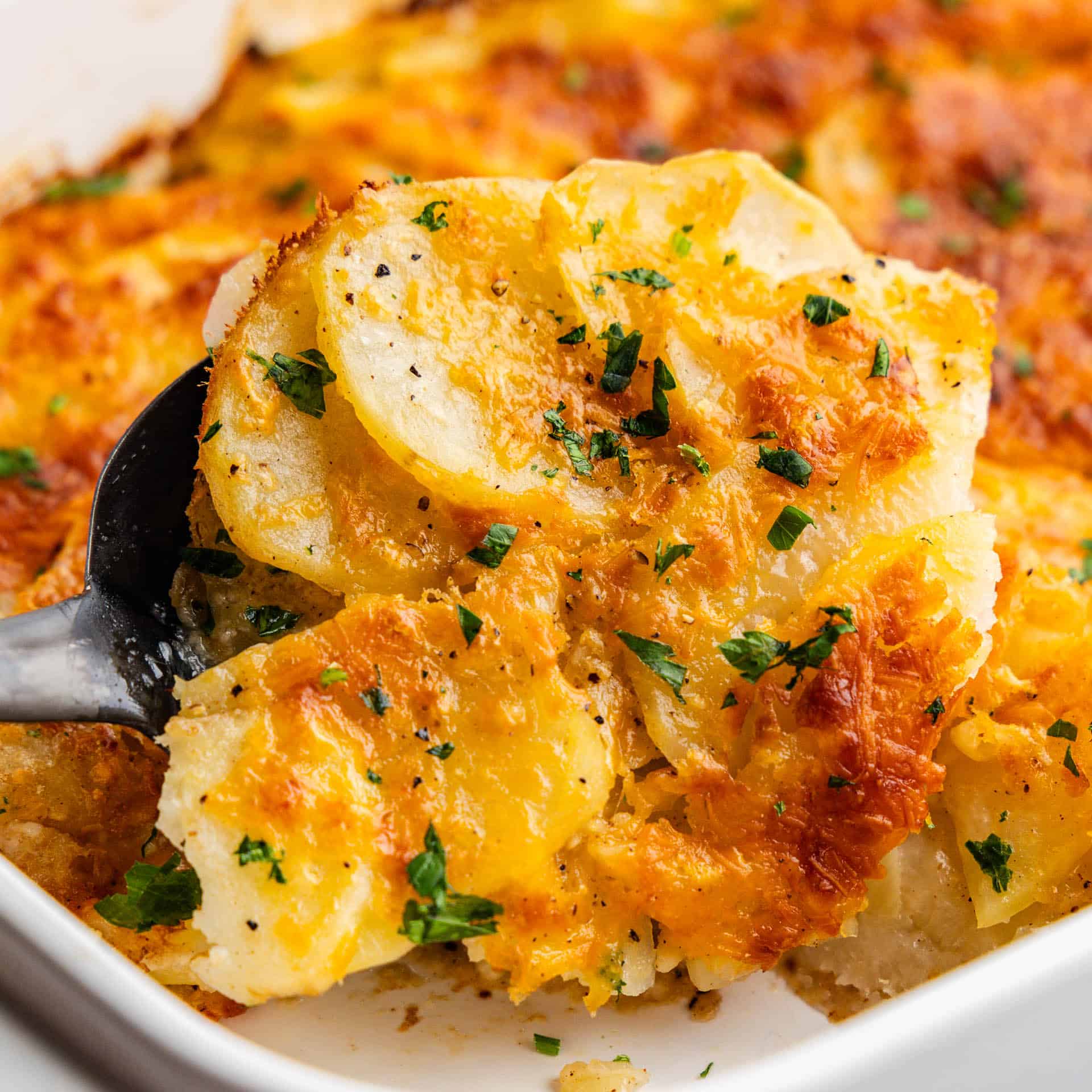 A spatula lifting a serving of cheesy scalloped potatoes from the casserole dish.