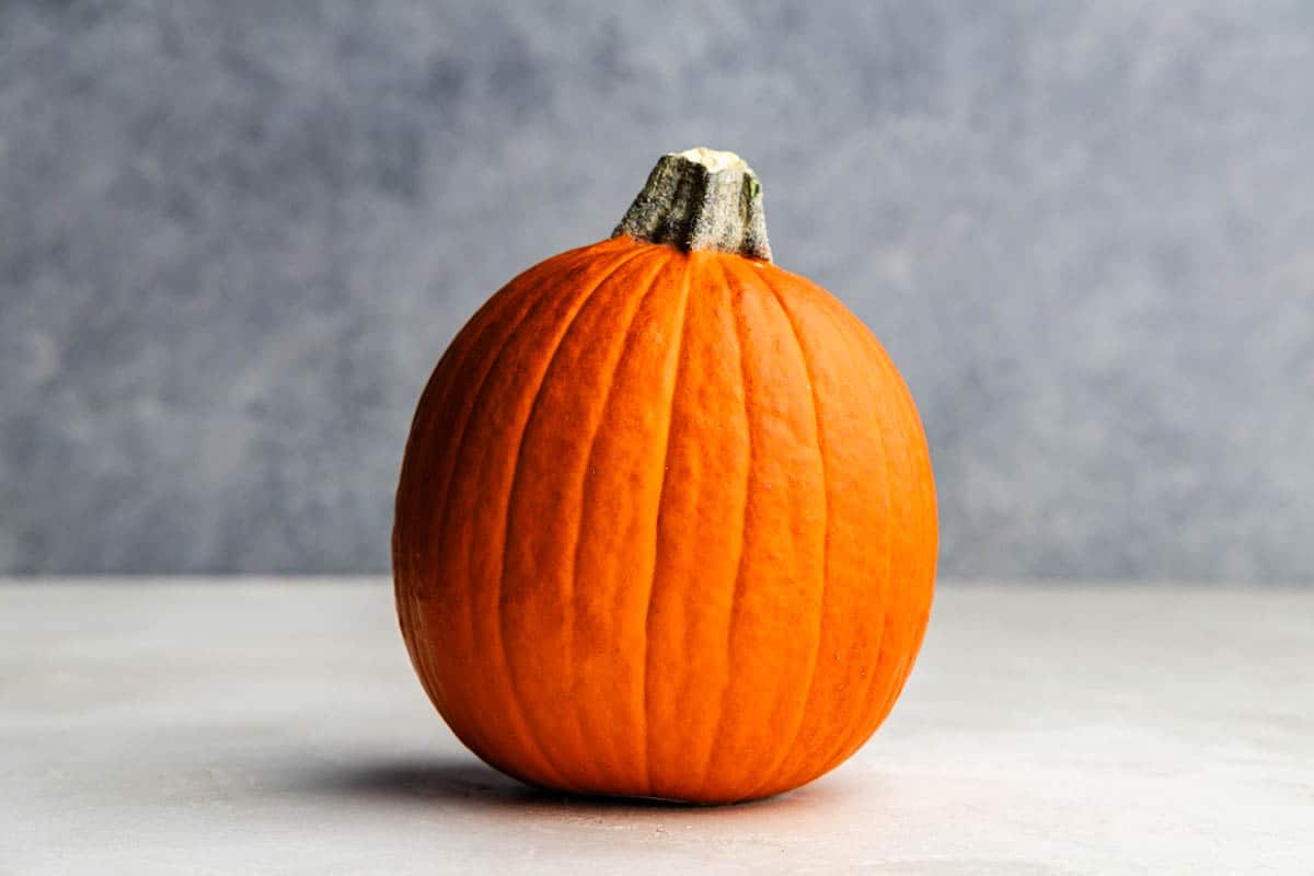 A sugar pumpkin sits on a white table with a gray background.