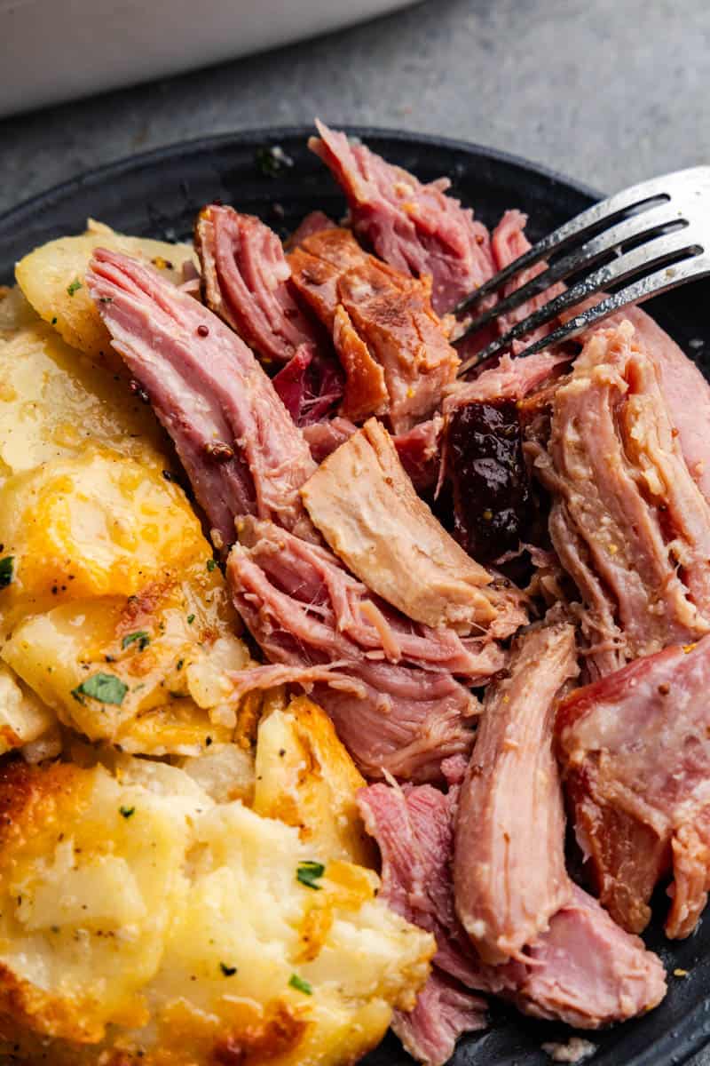 plate of pulled ham and mashed potatoes