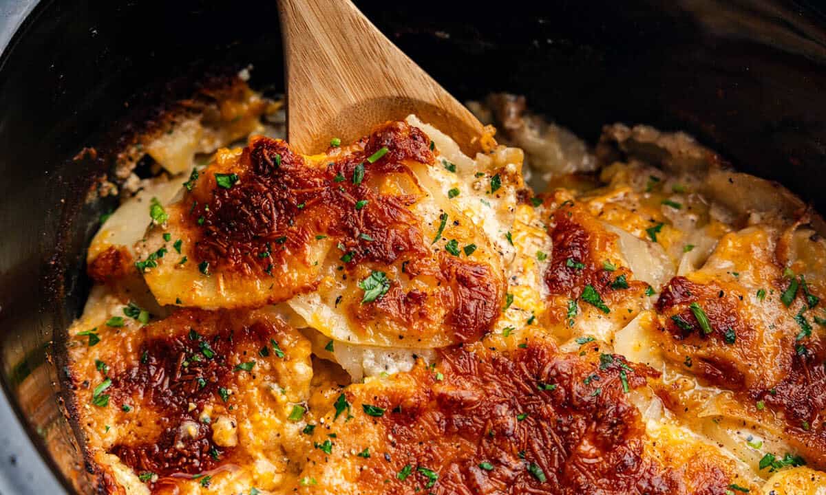 A close up view of scalloped potatoes made in the slow cooker. There is a wooden spoon ready to scoop out the first helping.