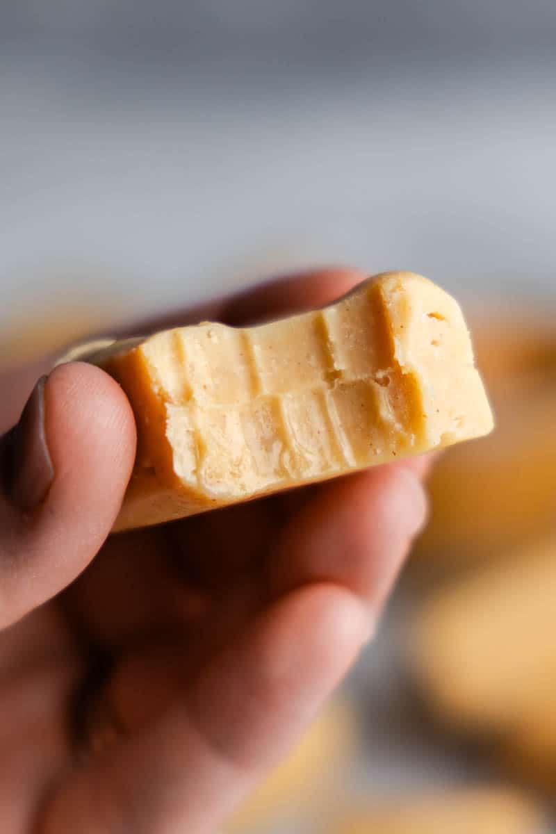 hand holding piece of peanut butter fudge with bite taken out of it