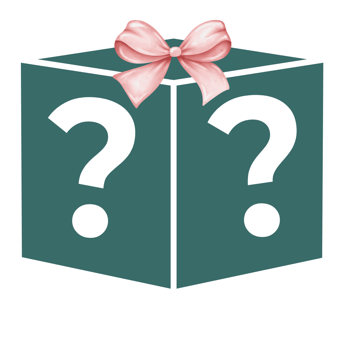 A dark teal mystery box with a pink bow on it.