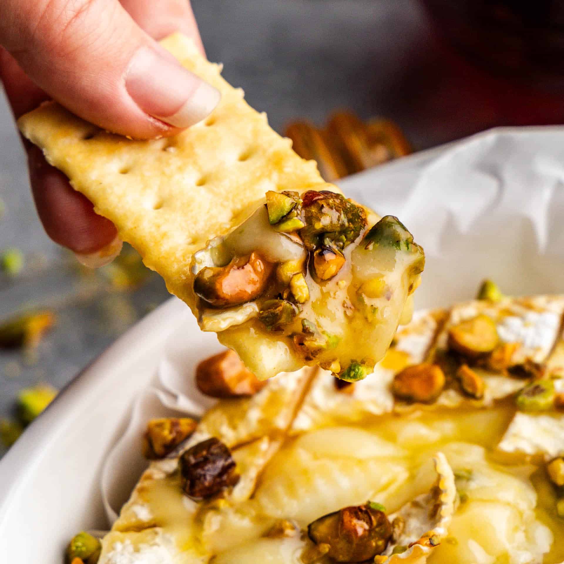 A close up view of a cracker that has been dipped into hot honey pistachio baked brie.