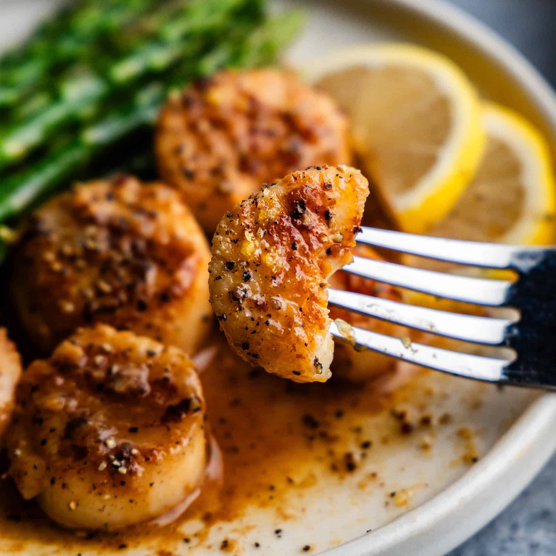 A close up of a fork holding a lemon garlic scallop above a plate of lemon garlic scallops and asparagus spears.