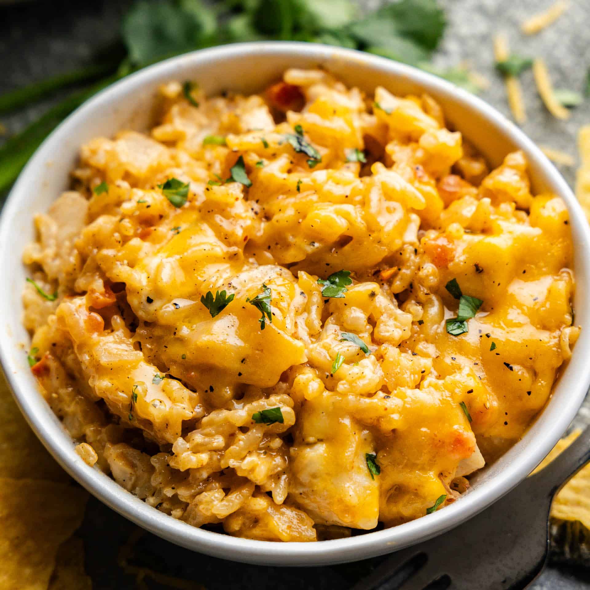 A bowl of queso chicken and rice.