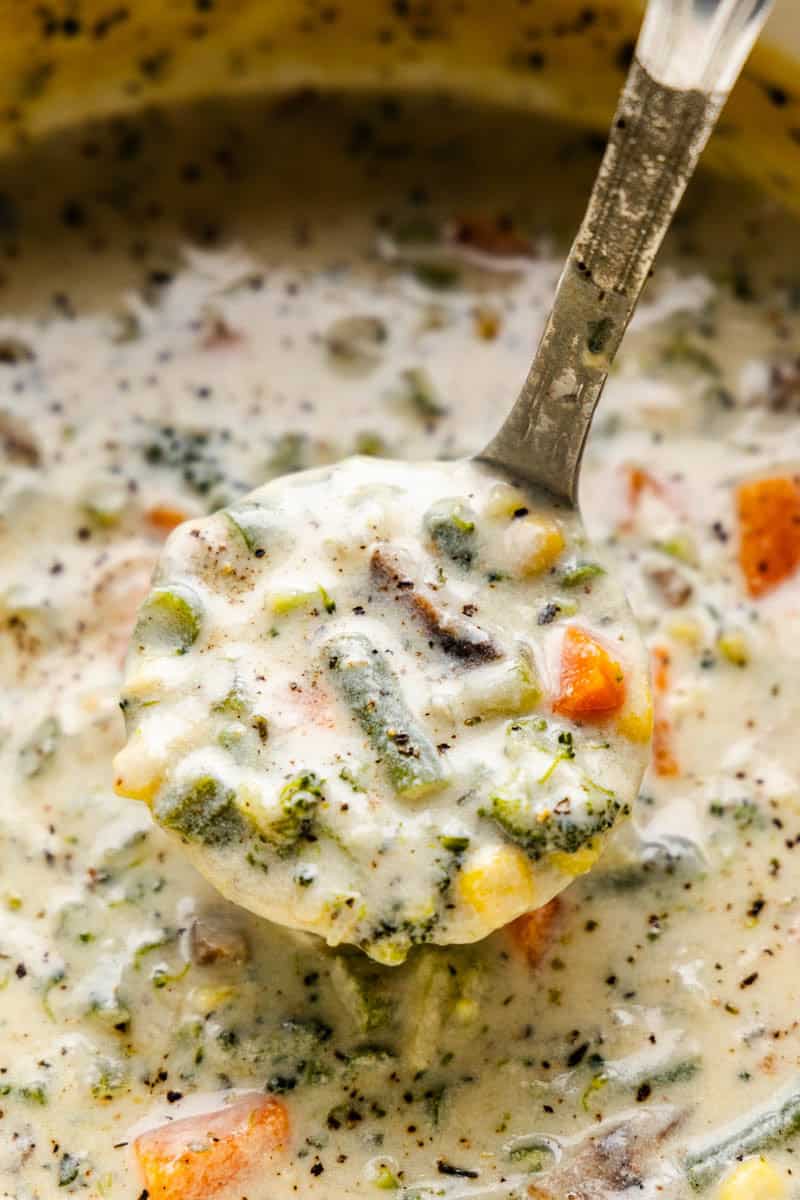 Shot of Creamy Vegetable Soup in large pot with ladle full of soup.