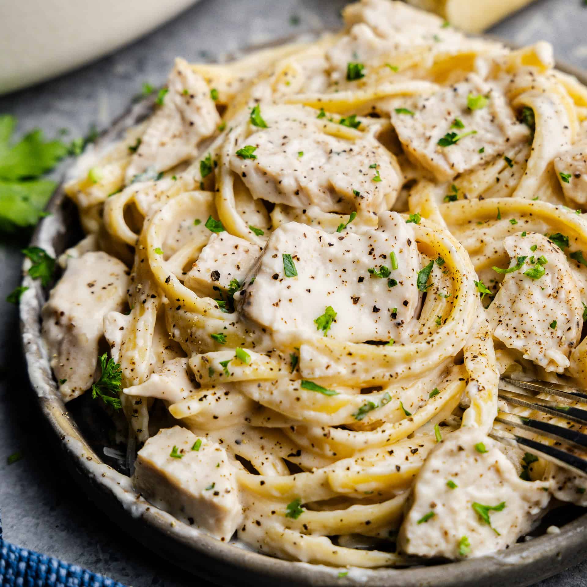 Closeup of chicken alfredo on a plate.