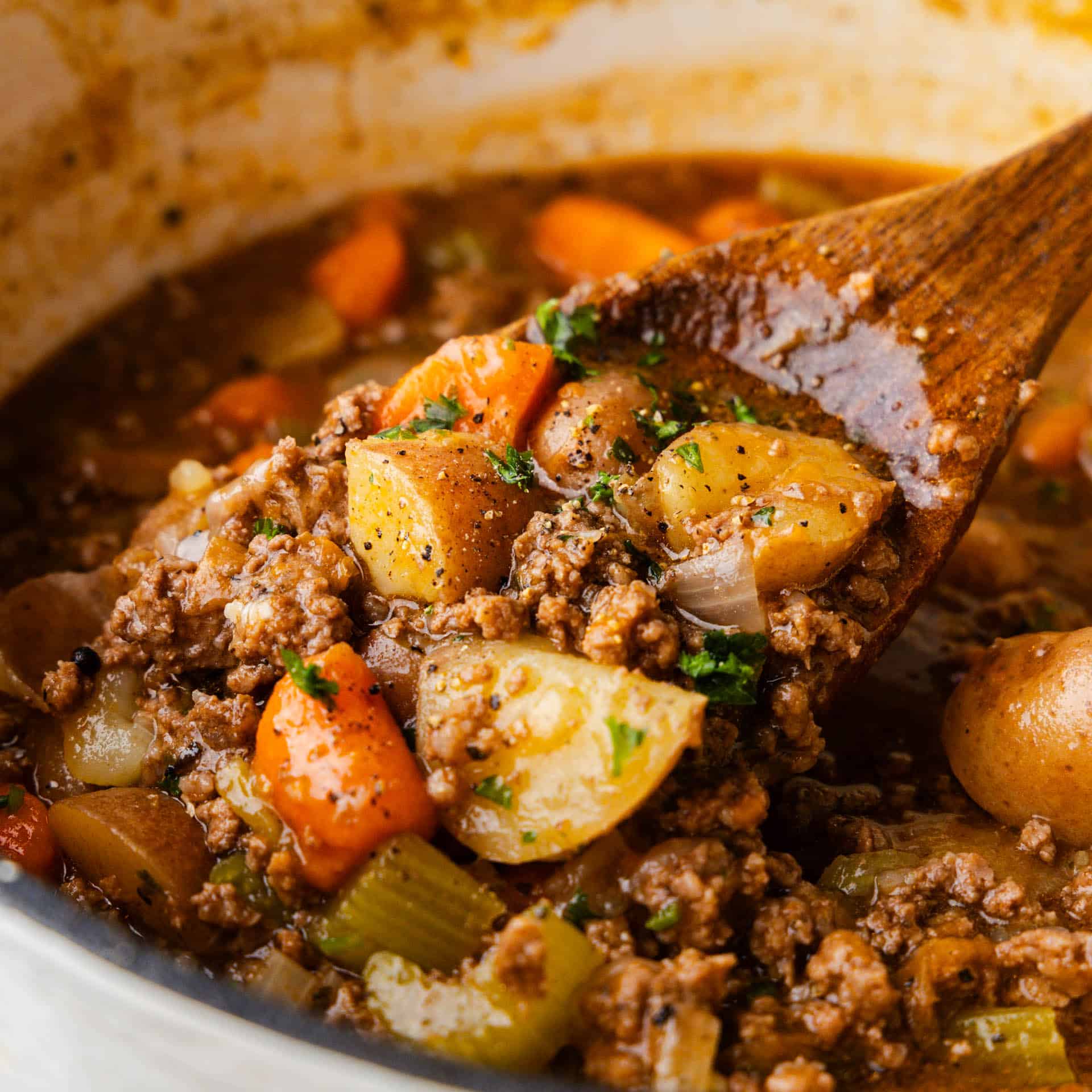 Spoon full of Ground Beef Stew.