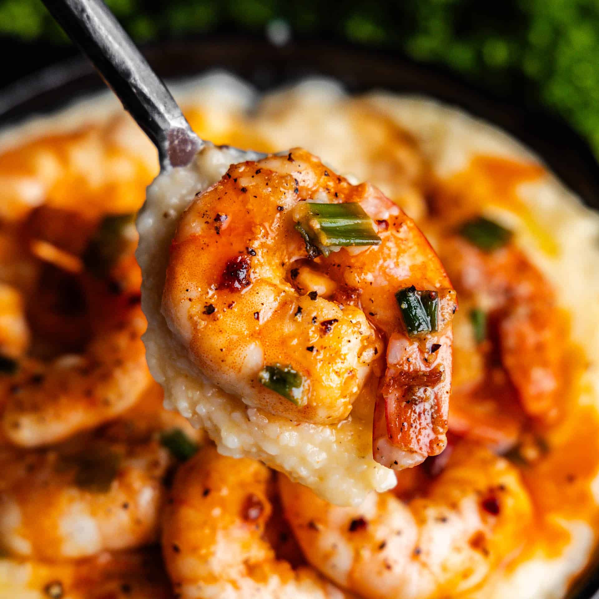 Spoon full of Southern Style Shrimp and Grits.