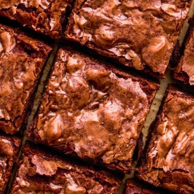 Overhead image of The Best Brownie Recipe Ever cut into perfect square pieces.
