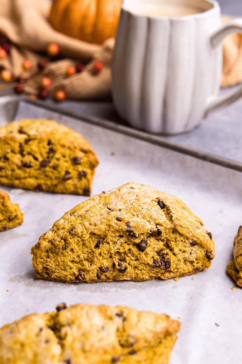 A closeup view of pumpkin chocolate chip scones on a parchment-lined baking sheet.