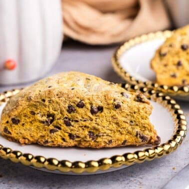 A closeup view of pumpkin chocolate chip scones on a white plate with a beaded-gold rim.